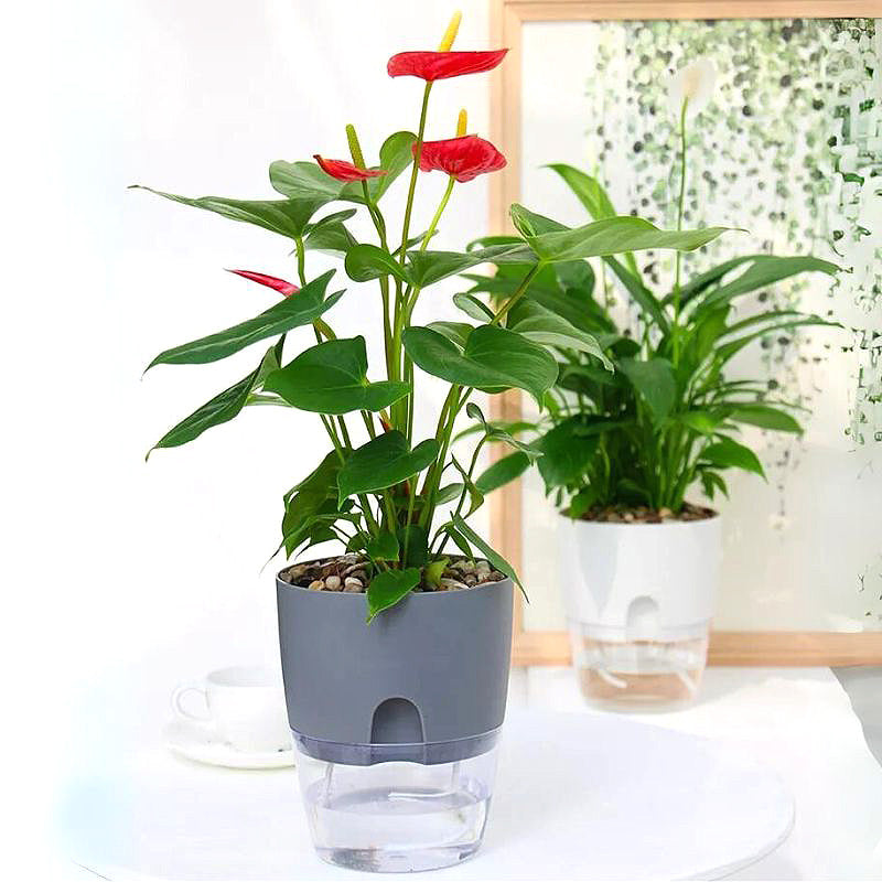 Nordic Self Watering Flower Pot