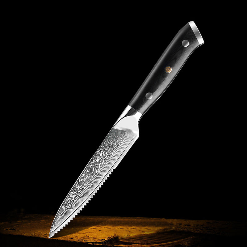 Professional Damascus Kitchen Knife Set